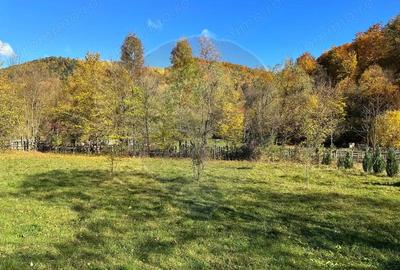 Teren de 1350 mp, în Gârcina - 11