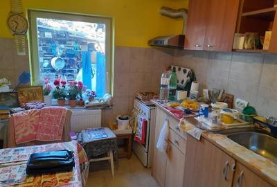 Casa Individuala Mehala - 12