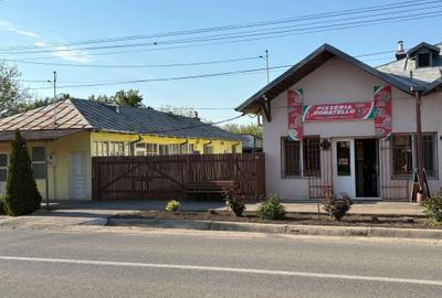 Casă cu 4 camere în Movila Miresii - 2