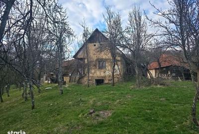 Casă cu 2 camere cu Teren 27263 Mp în Hălmagiu - 3