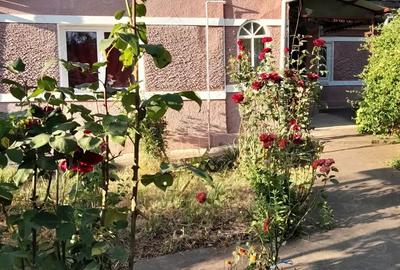 Casă cu 3 camere cu Teren 1600 Mp în Zau de Câmpie - 6