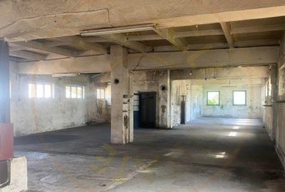 Hala industriala cu multiple facilitati de vanzare in localitatea Agris - 2