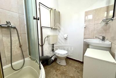 Casa individuala situata in zona Sagului - 12