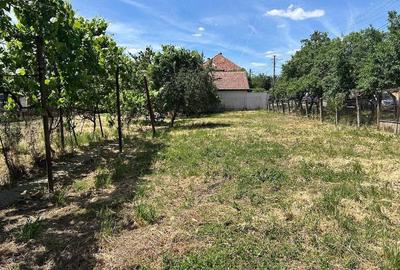 Casă cu Teren 1000 Mp în Bujac - 2