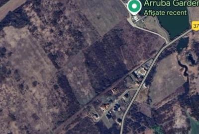 Teren intravilan -700 mp in Paleu, Bihor- intre padure si lac, cu PUZ aprobat - 6
