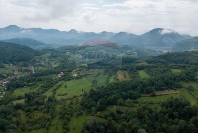 Casă individuală cu 3 camere cu Teren 9995 Mp în Ormindea - 9