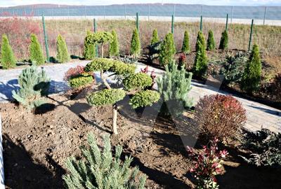 Casa Individuala moderna 4 cam–Teren 815 mp.SU 201 mp. Șelimbar-Sibiu - 4