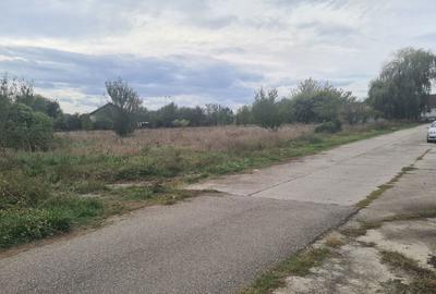 Spațiu comercial, în Băcia - 3