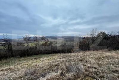Teren de 4300 mp, în Vințu de Jos - 3