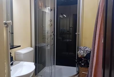Apartament cu 2 camere în Nicolae Bălcescu - 3