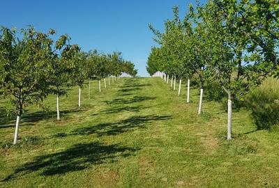 Spațiu comercial, în Central - 6
