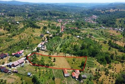 Teren de vanzare in comuna Cicane?ti, sat Bara?ti, jude? Arge?. - 17