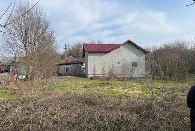 Casă cu Teren 1300 Mp în Vârvor - 2