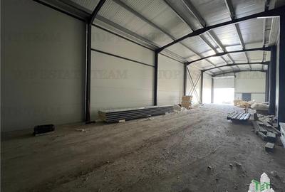 Spațiu comercial, de 435 mp, în Ulmi - 13