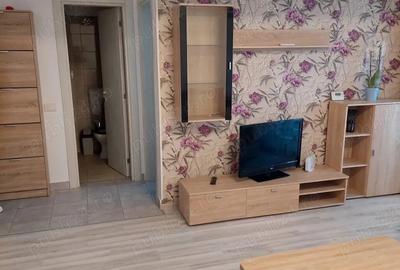 Garsonieră decomandată în Berceni - 6