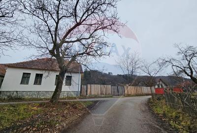 CASA 3 CAMERE SINCA NOUA / 5650 mp teren - 1