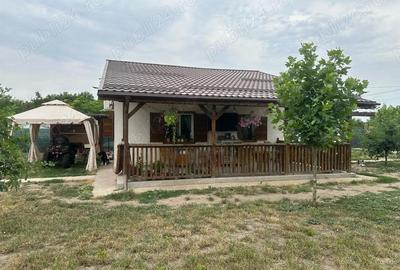 Casă cu 2 camere cu Teren 1250 Mp în Cămineasca - 6