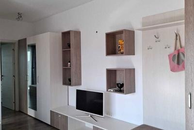 Apartament cu 2 camere semidecomandat în Dumbrăvița - 6