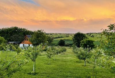Casă cu 1 camere cu Teren 2499 Mp în Periferie - 7