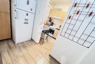 Apartament cu 2 camere semidecomandat, mobilat în Domenii - 11