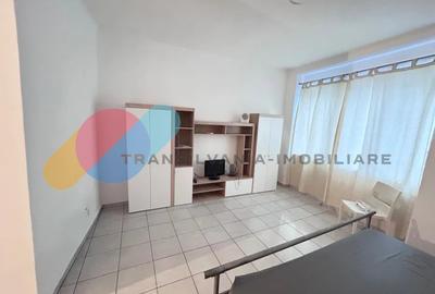 Apartament 1 camera, 60 mp, parcare si curte – str. Traian, zona Mihai Viteazu - 2