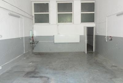 Inchiriez proprietate in Deva, zona ultracentrala (Ion Creanga), doua usi de acces, 140 mp - 9