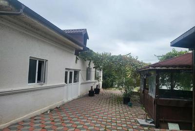 Casă cu 3 camere cu Teren 913 Mp în Dărăști-Vlașca - 3