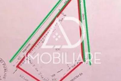 Teren de vanzare 12.771 mp zona industriala comerciala Barse?ti - 3