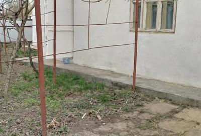 Casă cu 1 camere în Central - 2