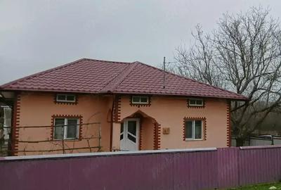 Casă cu 4 camere cu Teren 6000 Mp în Havârna - 8