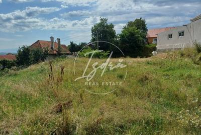 Teren intravilan de vanzare in Saliste - 5