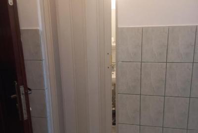 Garsonieră semidecomandată în Abator - 8