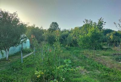 Casă cu 5 camere cu Teren 1000 Mp în Central - 11