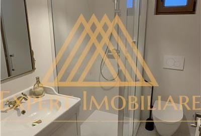 Casă cu 4 camere în Paltin - 19