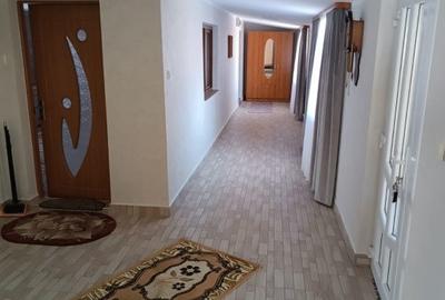 Casa individuala, teren 5200mp, oportunitate de investitie, Brodina - 11