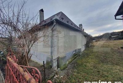 Casa individuala + 7,1 ha de teren dispersat, in Pinticu - 5