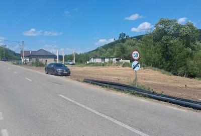 Casă cu Teren 8000 Mp în Panticeu - 5