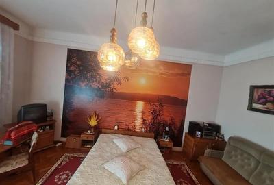 Poveste saseasca la umbra vitei de vie, cu crama si gradina cu flori, Central Co - 49