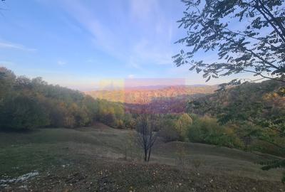 Teren intravilan de vanzare in Telega - 3