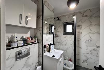 Apartament cu 4 camere decomandat, mobilat în Paltiniș - 13