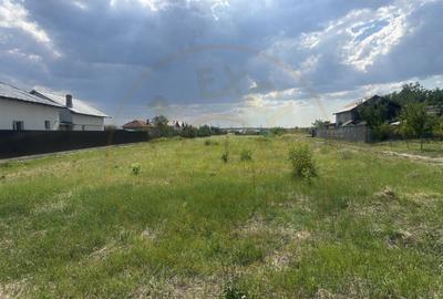 Teren intravilan 3474 mp Bradu-Auchan - 2