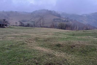 Spațiu comercial, în Șugag - 3