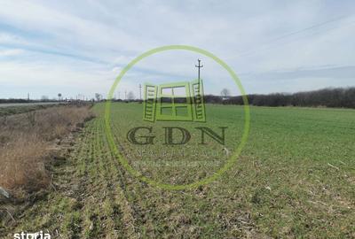 Teren de 21496 mp, în Saca - 2