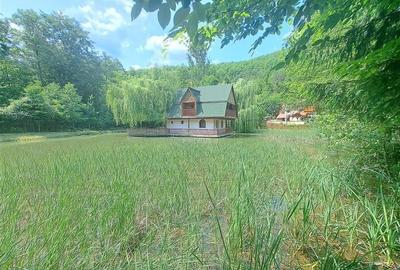 RECO, Cabana pe apa in Padurea Neagra, Bihor - 1