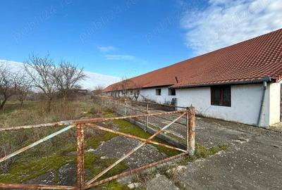 Vand teren intravilan,zona industriala,st.16,8 ha. + 8 ha.agricol,in Sanicolau Mare, la DN6,la sosea - 11