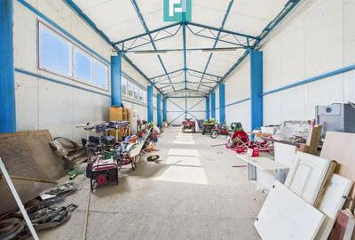 Cladire cu 5 camere cu teren ?i hala in Cenad - 16