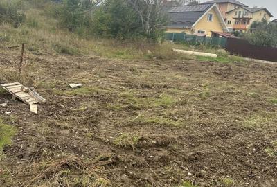 Spațiu comercial, în Târgu Frumos - 6