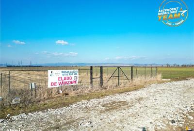 Spațiu comercial, în Chilieni - 16