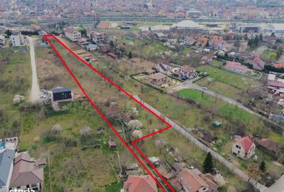 Teren de 4700 mp, în Podgoria - 1