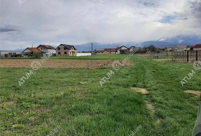 Teren de 1400 mp, în Central - 3